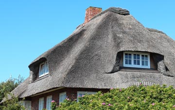 thatch roofing Park Street
