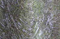 Park Street fibreglass roof work